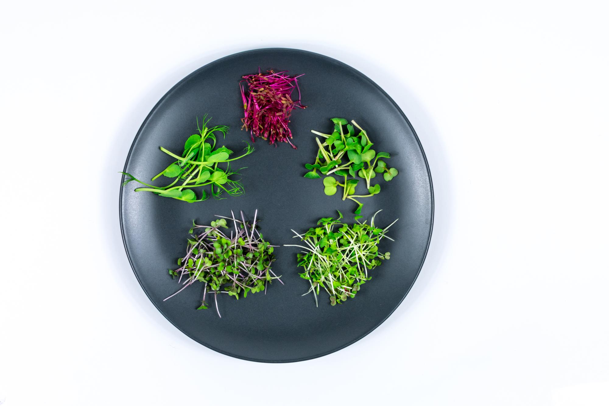 Close shot of plated starter with herbs